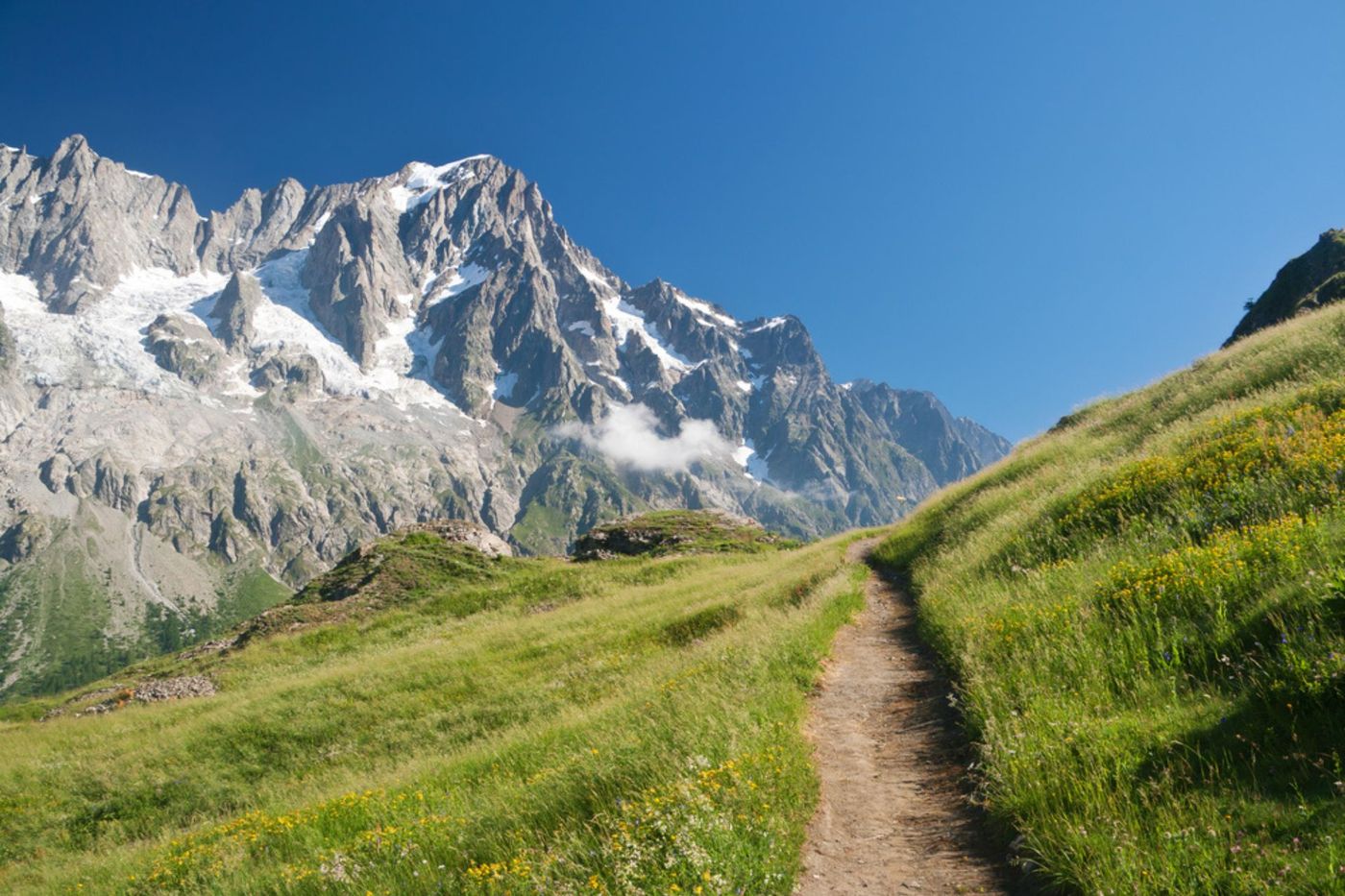 Mont Blanc Track.jpg
